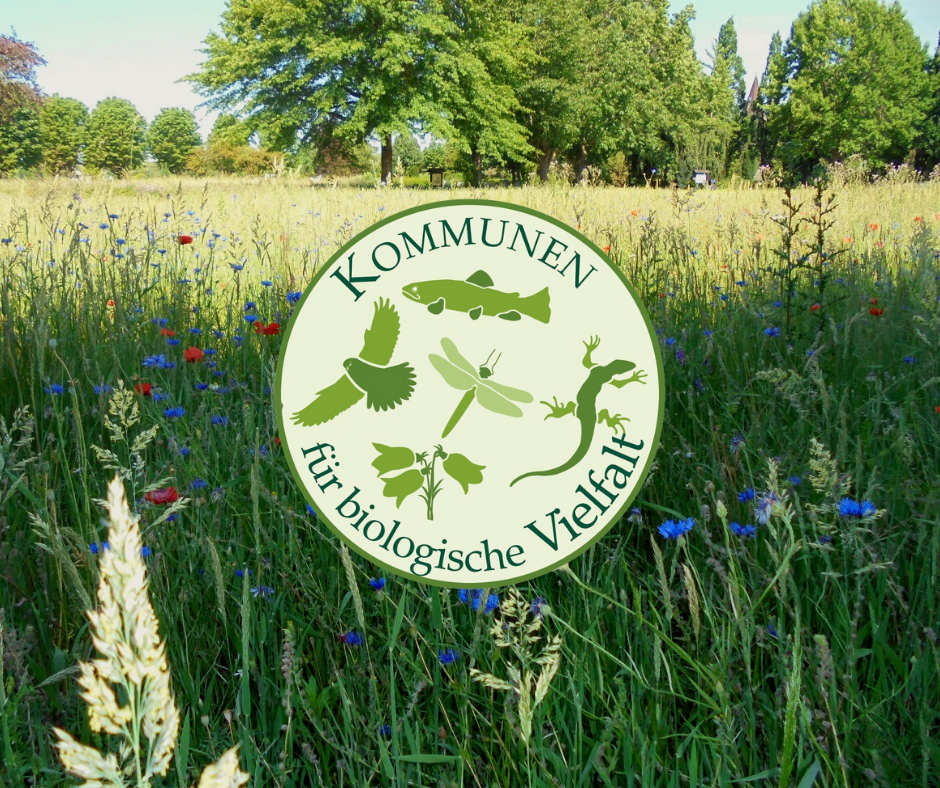 Blühwiese mit Logo des Bündnis Kommunen für biologische Vielfalt