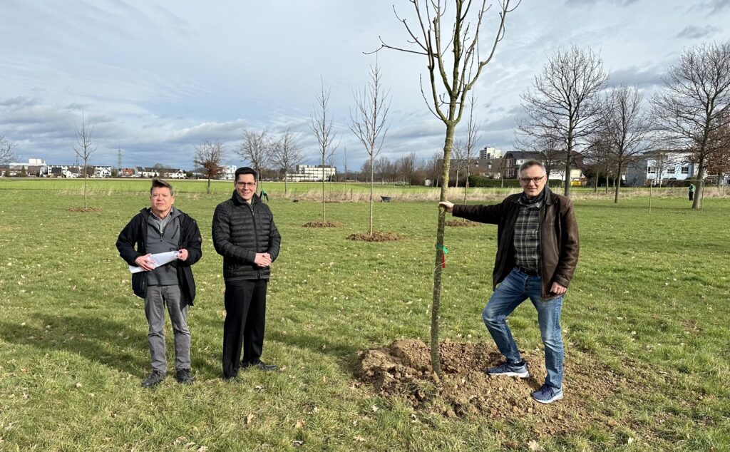 Gerhard Kasper, Leiter des städtischen Büros für Natur- und Umweltschutz, Bürgermeister Max Leitterstorf und Technischer Beigeordneter Rainer Gleß (v.l.) machten sich vor Ort ein Bild von den neugepflanzten Bäumen.